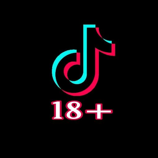 tiktok18+pro.org